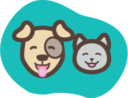 Dog and cat smiling