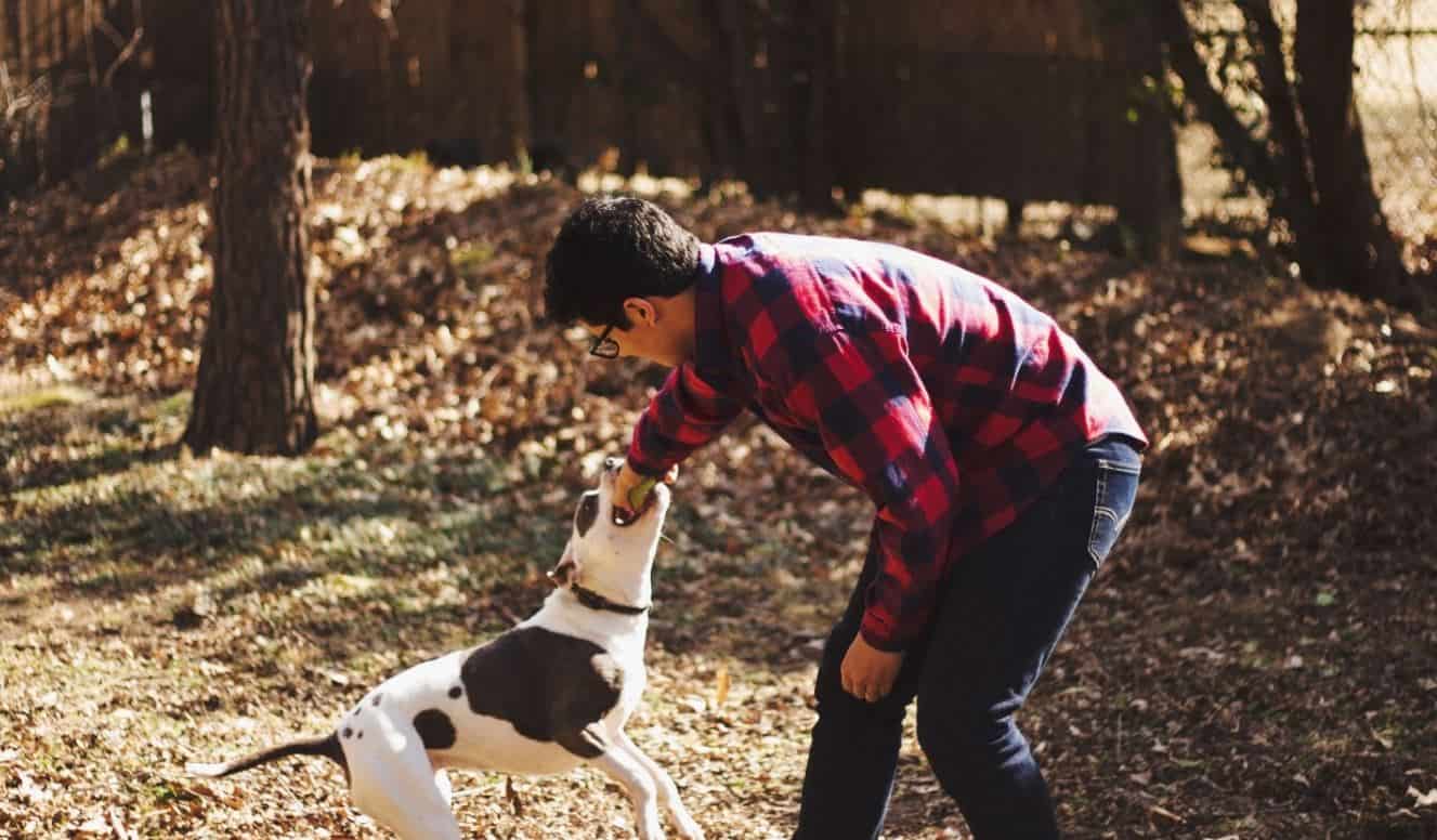 Owner and dog Owner and dog play at the park