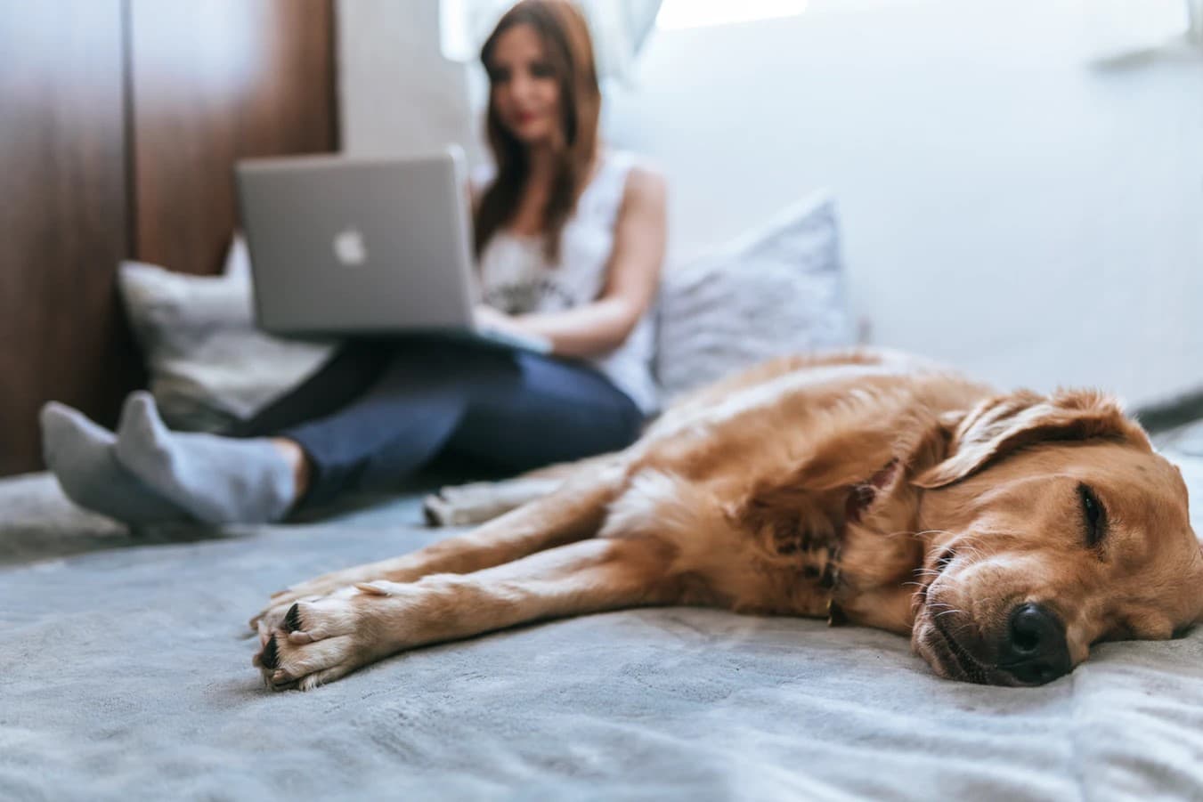 Shop with dog Woman enjoys online shopping with dog