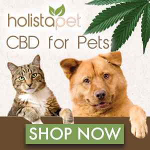 Holistapet CBD for Pets Holistapet CBD banner