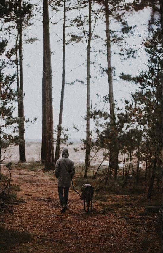 Guy and Dog Guy and dog walking in cold