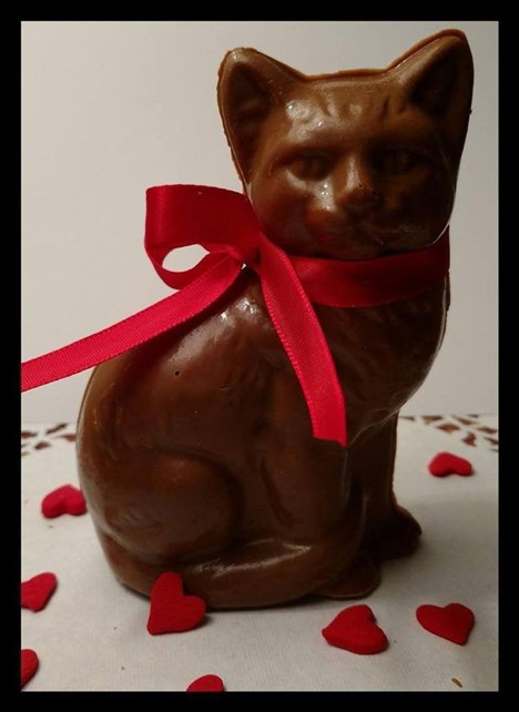 Cat candy Cat candy Valentine's day gift