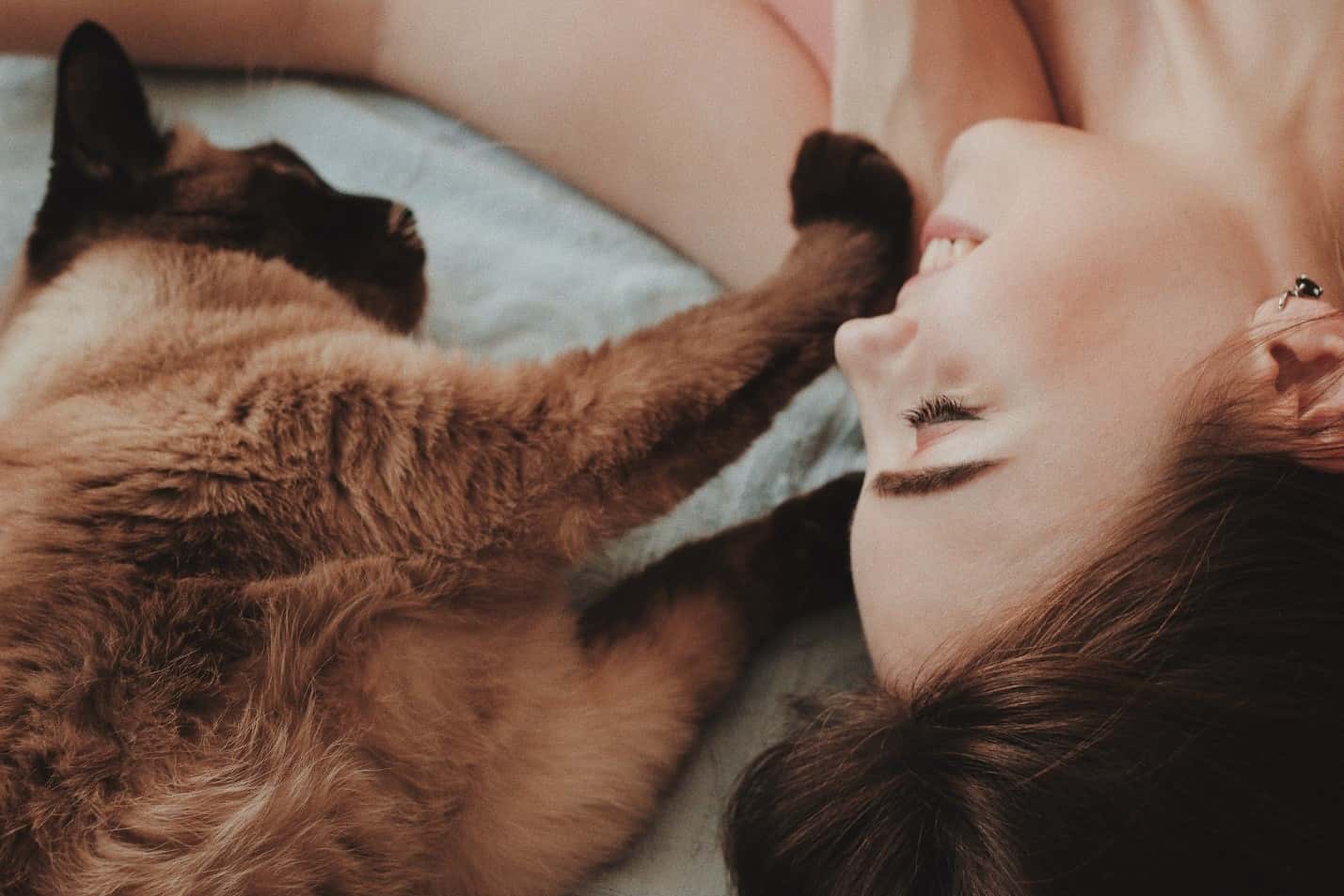 Cat woman bed Cat woman cuddling in bed