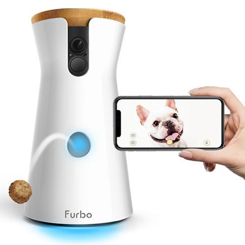 Furbo Furbo for Valentine's day gift fro your dog