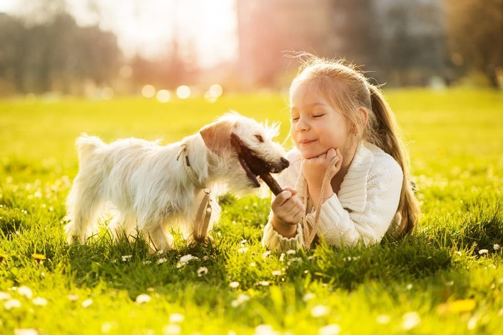Girl and puppy Girl feeding puppy