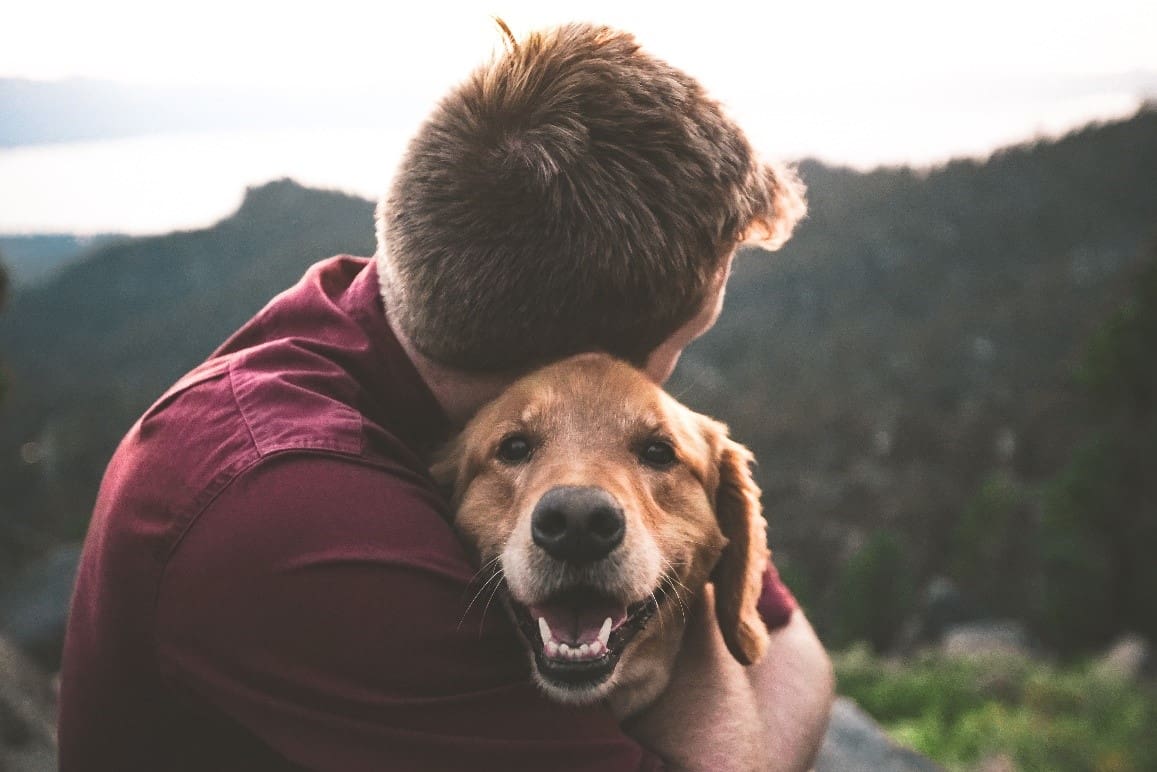 Man dog hugging Man and dog hugging in mountain