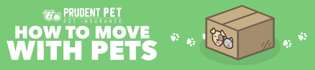 Prudent Pet moving Prudent Pet moving with pet