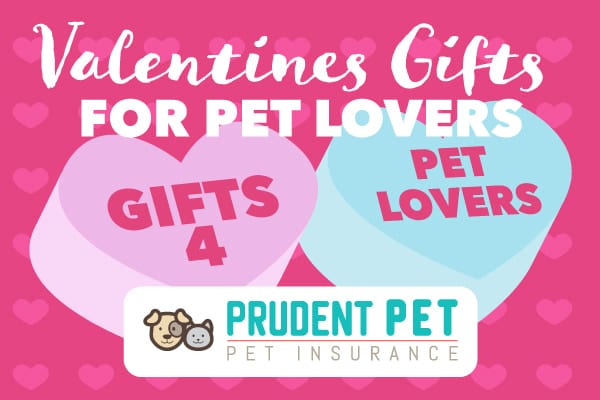 Valentine’s Day Gifts for Pet Lovers