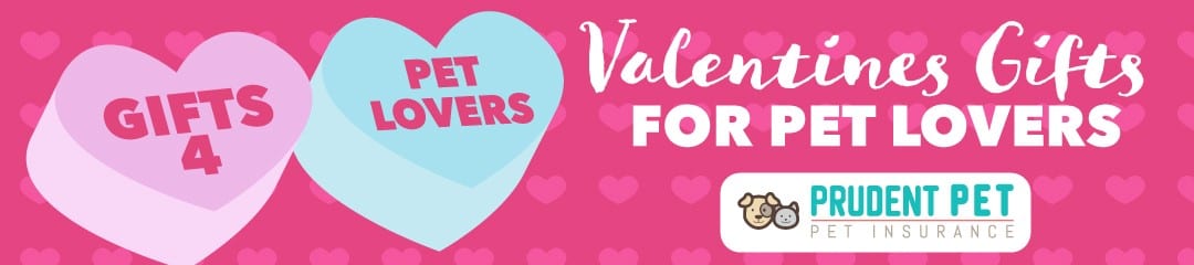 Valentine's Prudent Pet Valentine's day gift blog post from Prudent Pet
