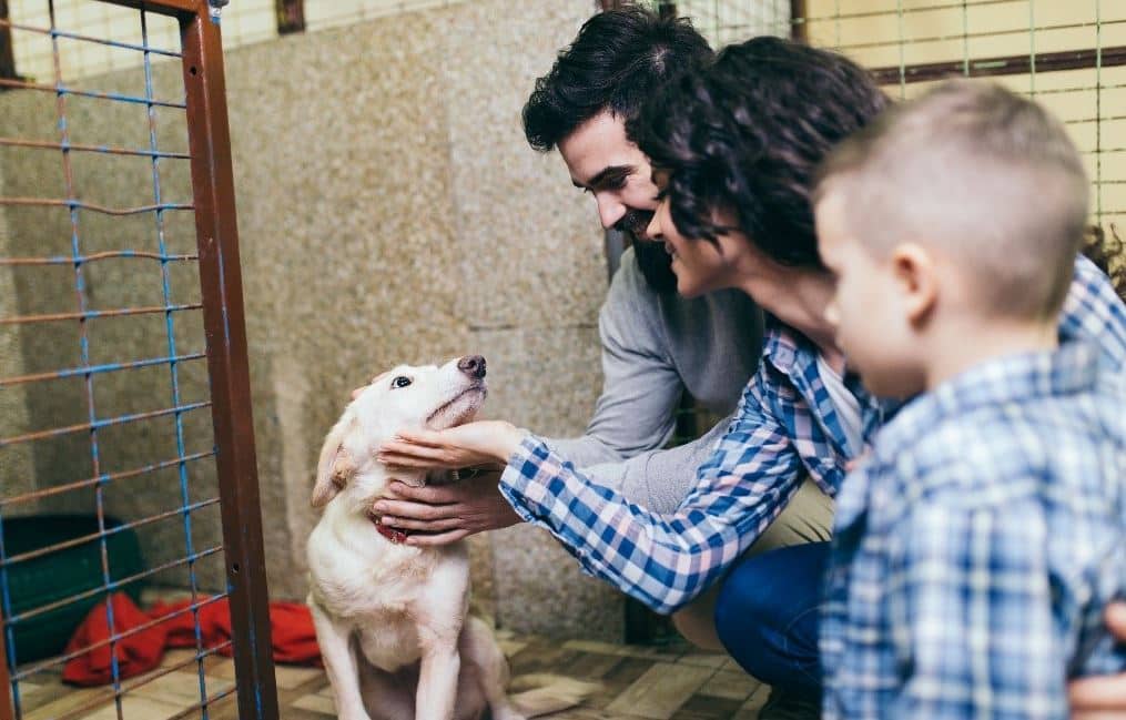 Family with dog Family visits a shelter to choose their adaption