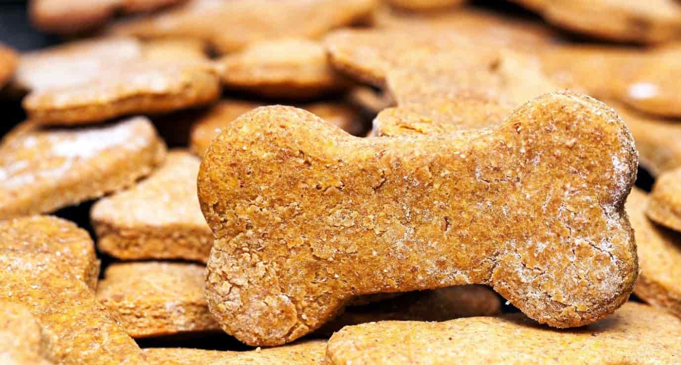 Broth treat Broth treats for dogs