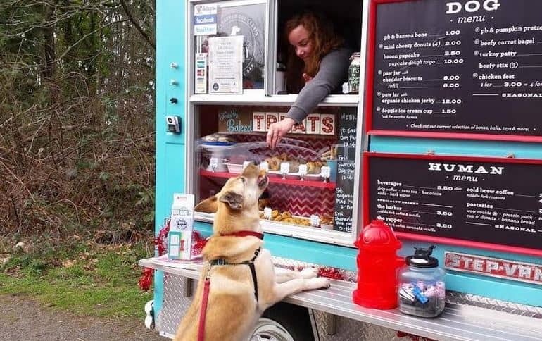 Dog food truck Dog getting a treat at food truck