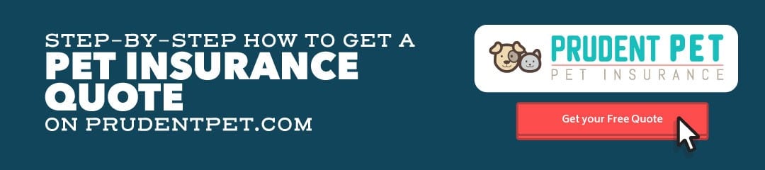 How to quote quote Prudent Pet how to get a pet insurance quote
