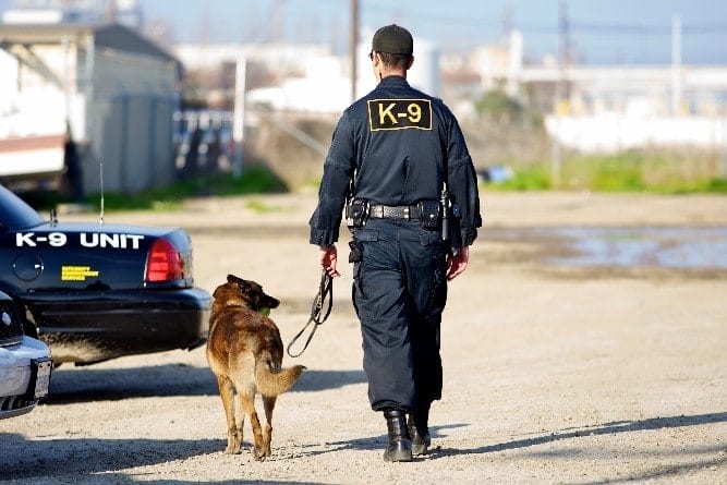 Police and dog K9 officer and dog walk together