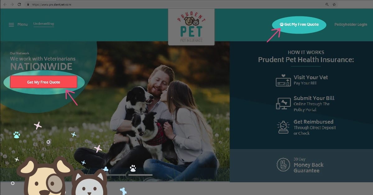 Step 1 How to get a pet insurance: Step 1