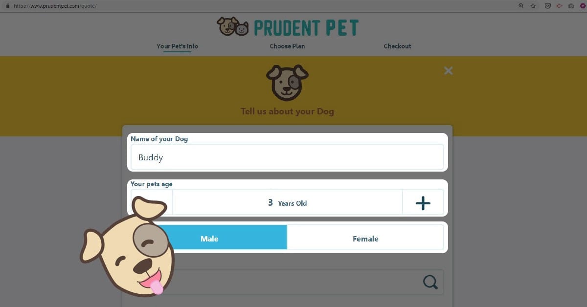 Step 3 How to get a pet insurance: Step 3