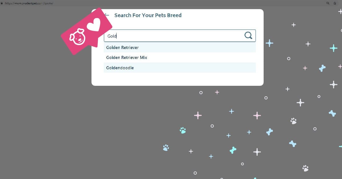 How to get a pet insurance: Step 4