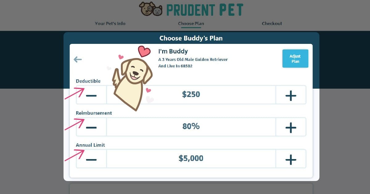 Step 6 How to get a pet insurance: Step 6