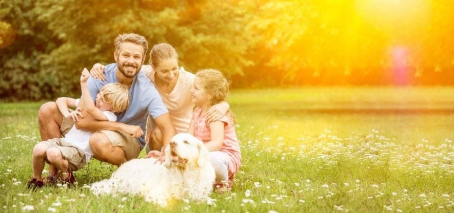 Family and dog Family and dog hanging at a summer park