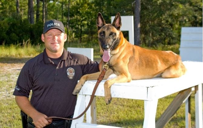 Trainer and dog Trainer and K9 dog