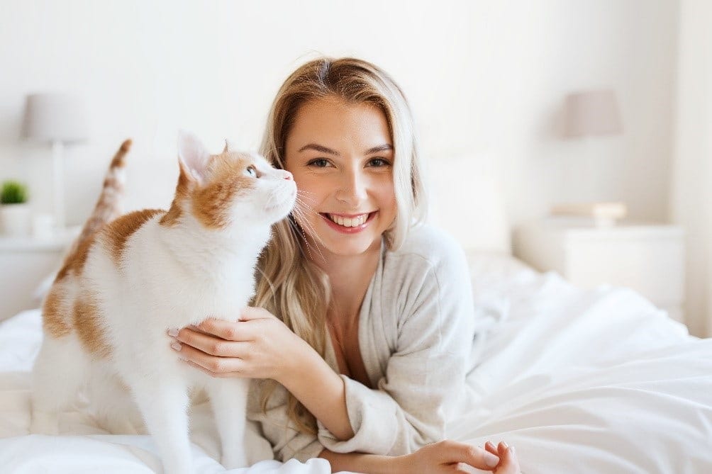 Cat on bed Cat and woman smile on bed