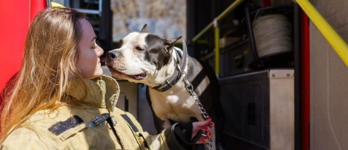 Woman fire dog header Female firefighter and fireman dog