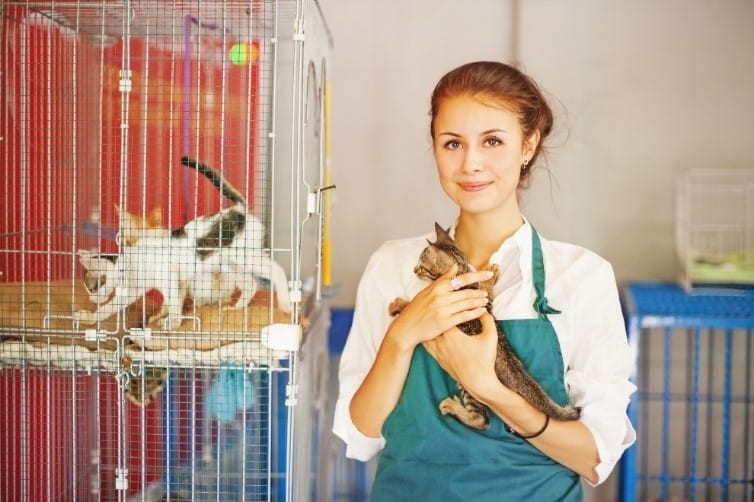 Cat at shelter Woman holds a cat at a shelter