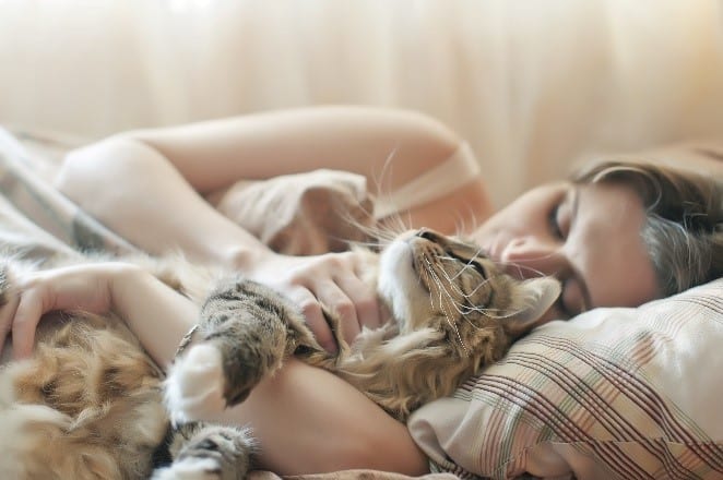 Sleeping cat and woman Cat and woman sleep in bed