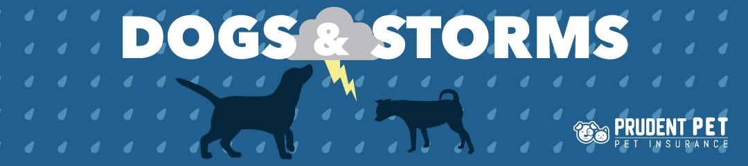 Dogs and Storms Dogs and Storms post from Prudent Pet