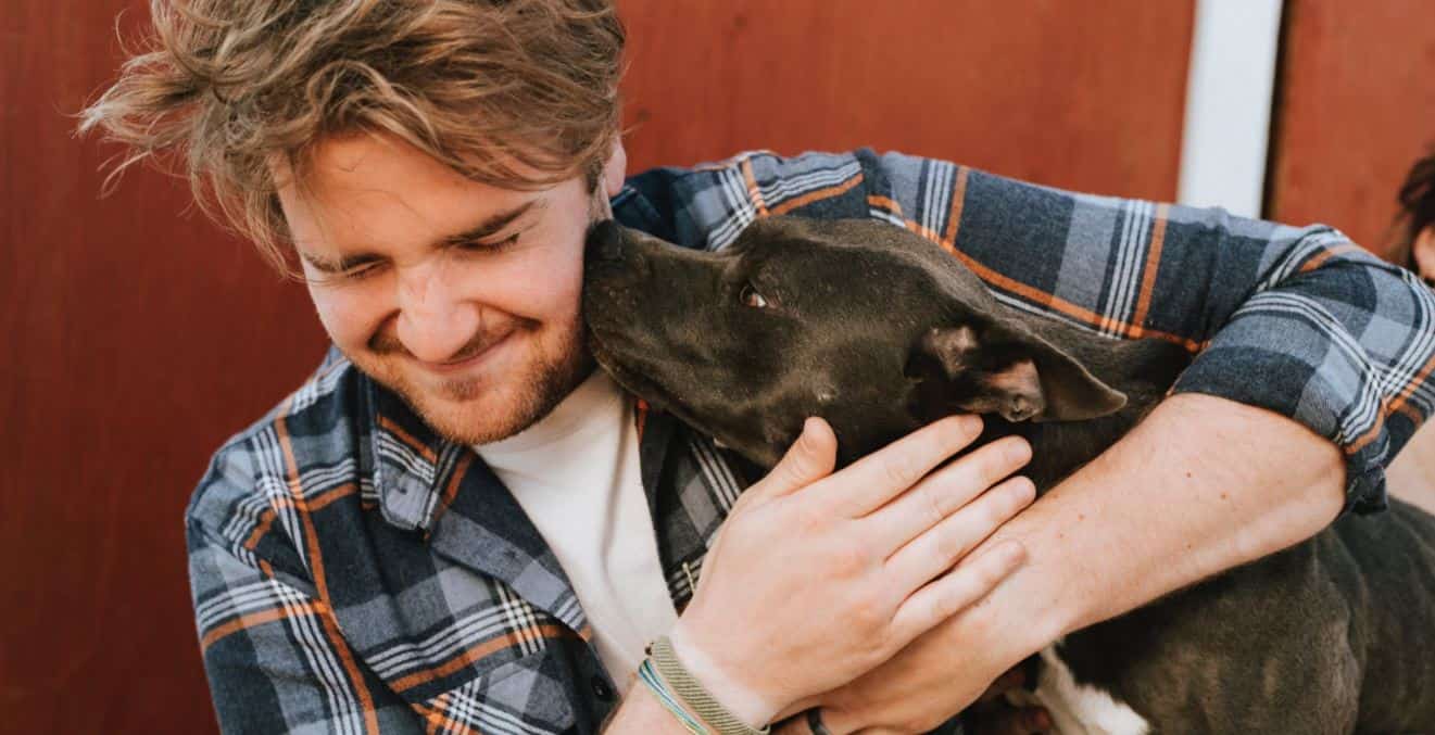 Petting dog Dog kissing man's cheek