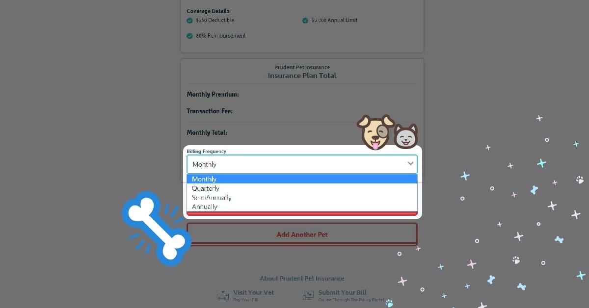 Step 9 How to get a pet insurance: Step 9