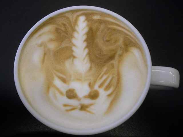 Caticorn latte Caticorn latte in a cup