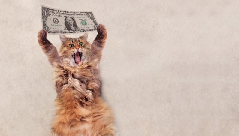 Cat bill Cat holding a $1 bill