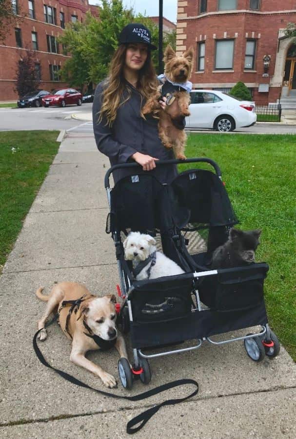 Rescue work Walking with foster dogs