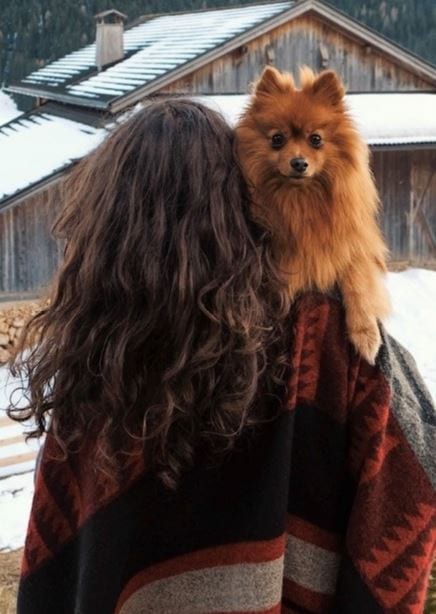 Winter dog Dog held by woman in winter