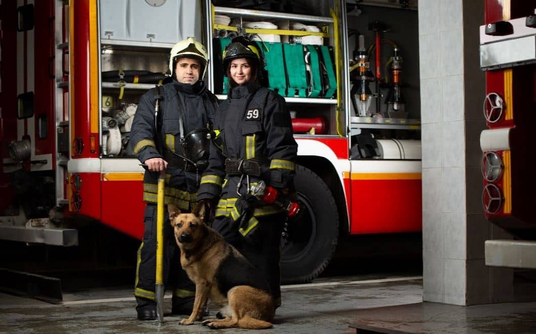 Firefighters dog Firefighters dog in front of fire truck