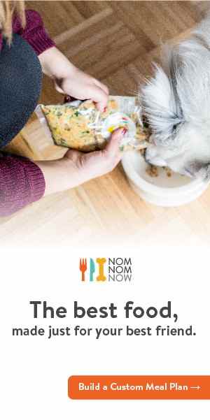 Nomnomnow canada Clearance