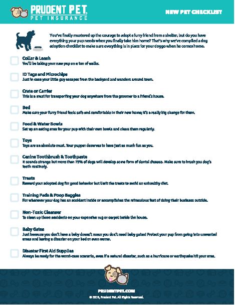 Check List Adopt dog month check list from Prudent Pet