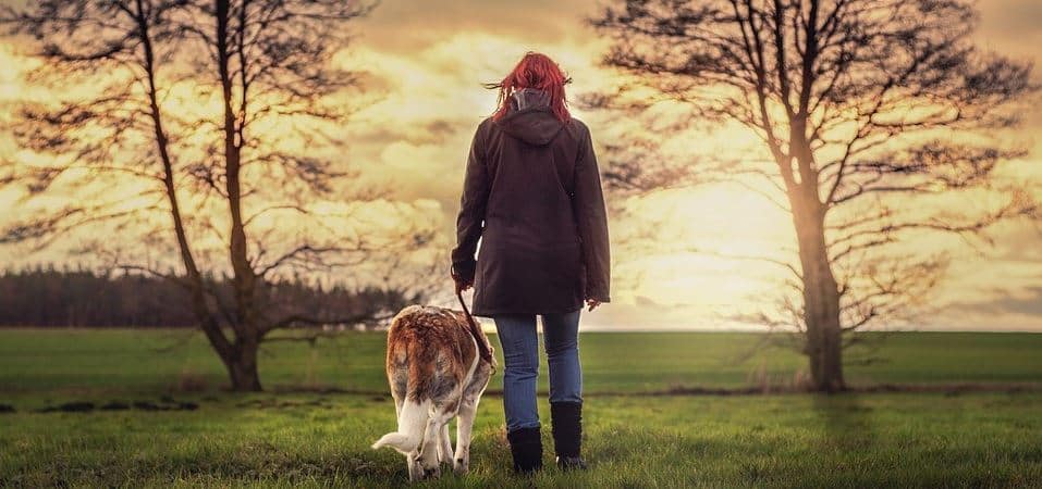 Harness vs. Collar Woman walk with dog in the evening