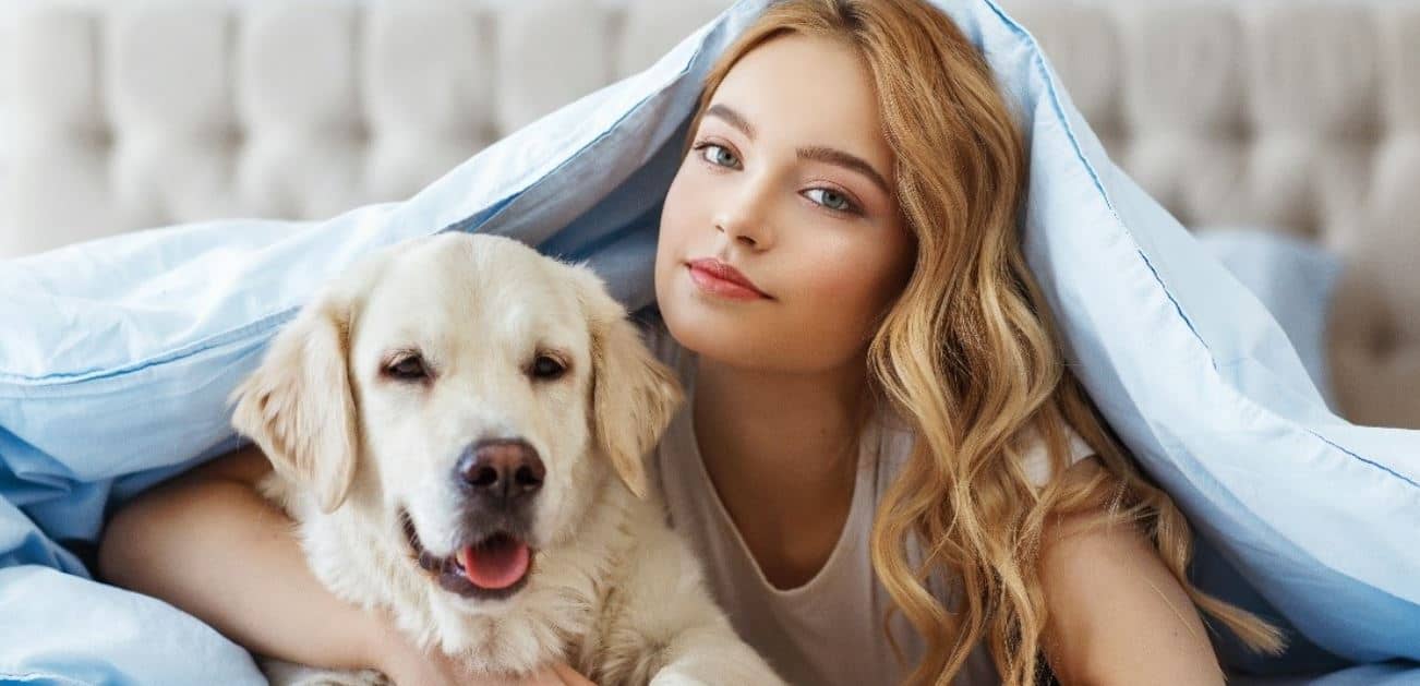 Labrador and woman Labrador and woman in blanket
