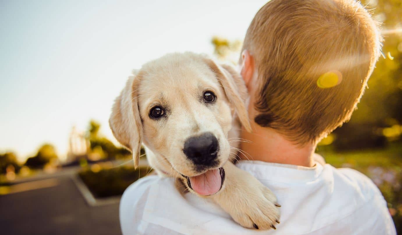 Hold Dog Boy holds a dog