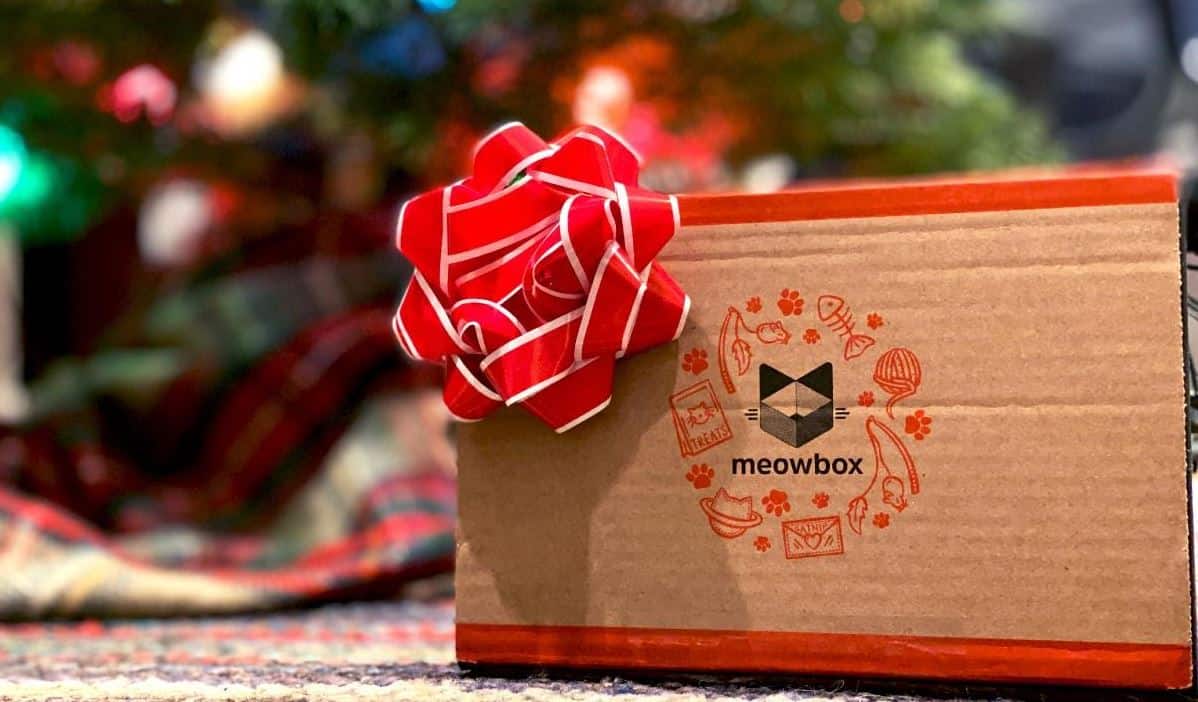 Meowbox gift Meowbox holiday gift under Christmas tree