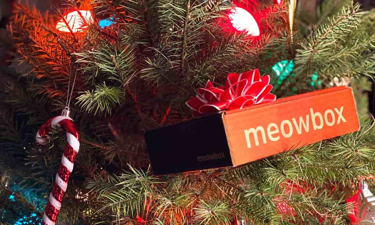 Meowbox tree Meowbox in a Christmas tree