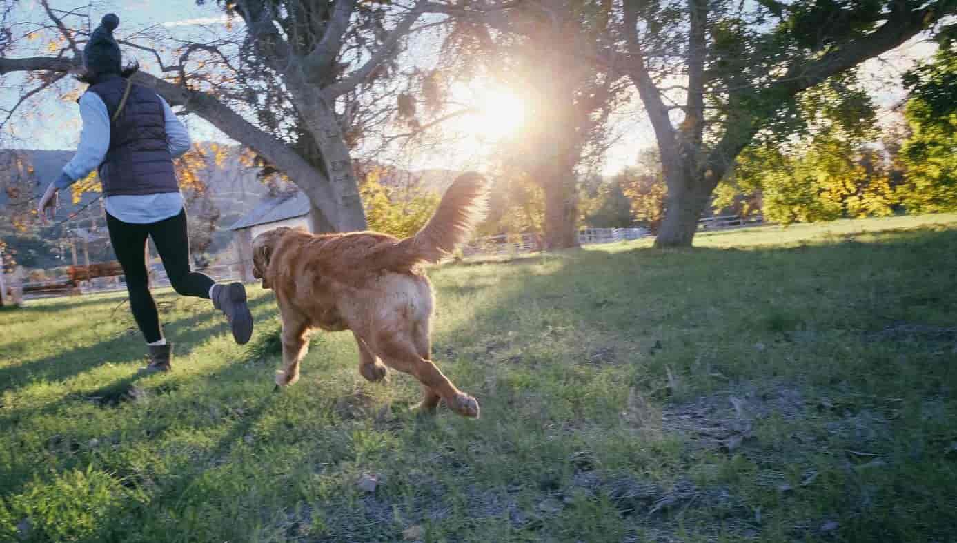Running Dog Woman runs with dog at park