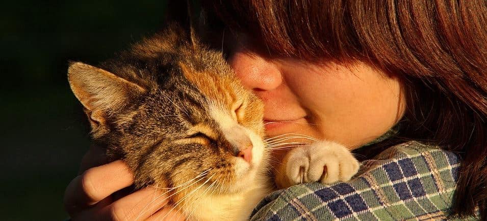 Dealing losing pet header Woman hugs her cat
