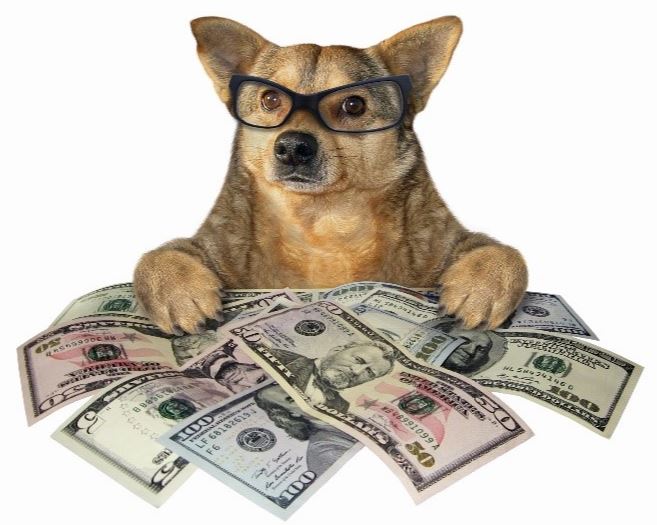 Vet exams cost Dog with currency bills