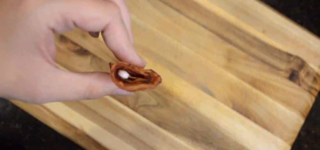 Bacon pill A dog pill in bacon roll