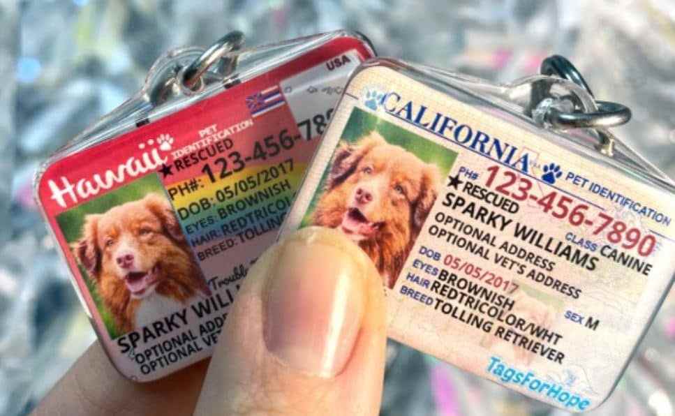 Tags closeup 2 ID of California and Hawaii