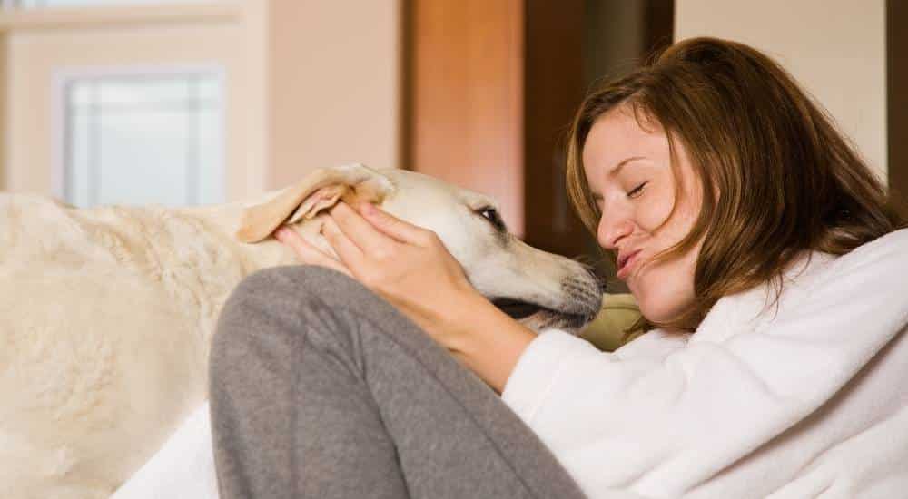 Avoid Rewarding Barking Behaviors Petting blonde labrador and making kissy faces