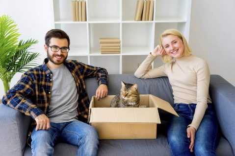 woman and man sitting with a cat in a box on a couch